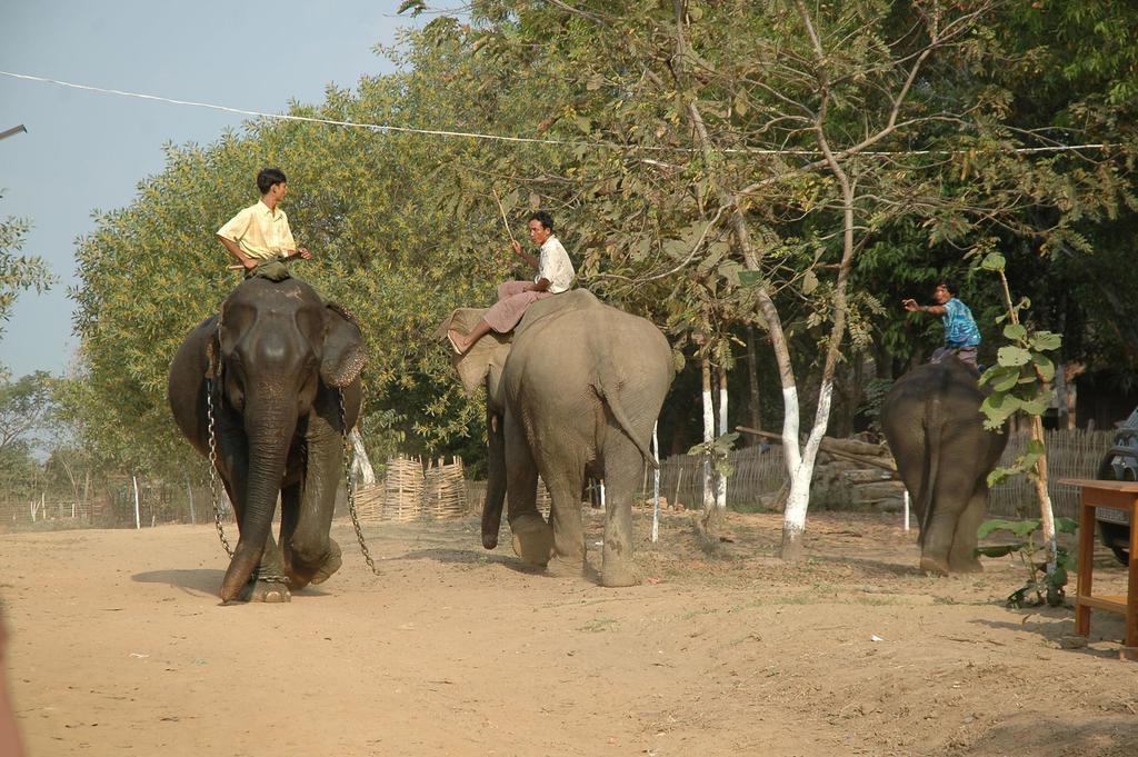 Amazing Kaytu Hotel Taungoo Eksteriør billede
